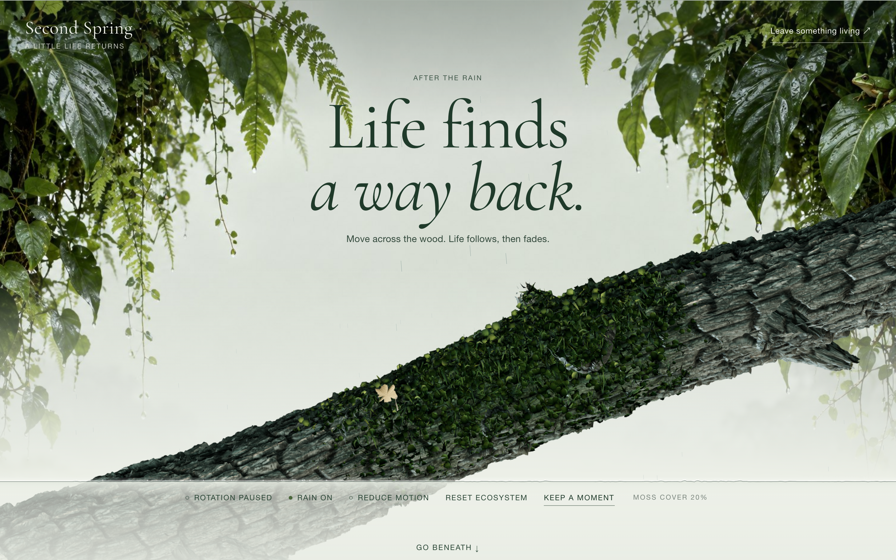 Interactive Conservation Website Design: Complete Forest Introduction and Living Log